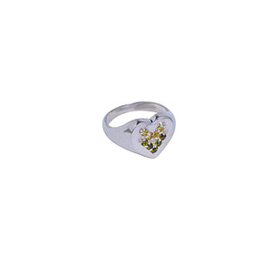NAVGRADIENT HEART SIGNET GREEN