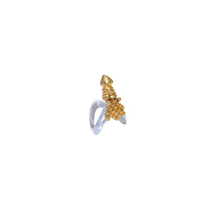 RING ANTARR
