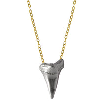 SHARKTOOTH