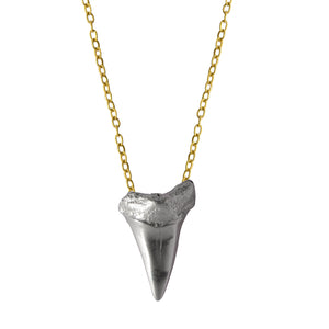 SHARKTOOTH
